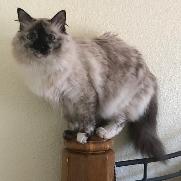 Meet your Posher, Duane - Picture 8 of 12